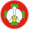 logo RSMS